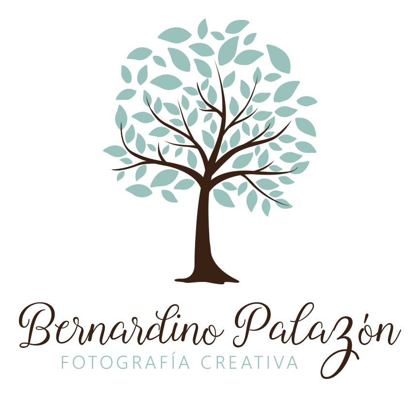 AFPAL (Asociación de Fotógrafos y Videógrafos de Almería) - logo-bernardino-palazon.png